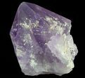 Amethyst Crystal Point - Brazil #64752-2
